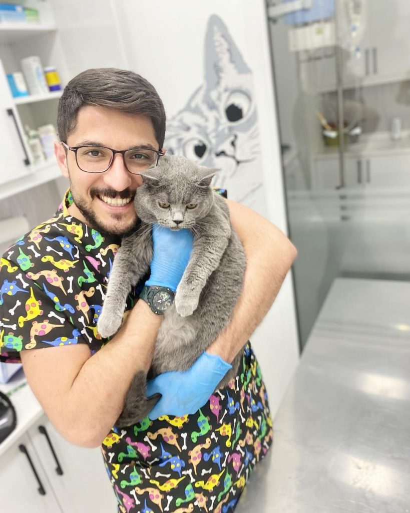 Bahçeşehir Acil Veteriner PatiKule Veteriner Kliniği Bahçeşehir Acil Veteriner