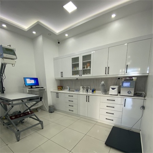 Bahçeşehir Acil Veteriner PatiKule Veteriner Kliniği