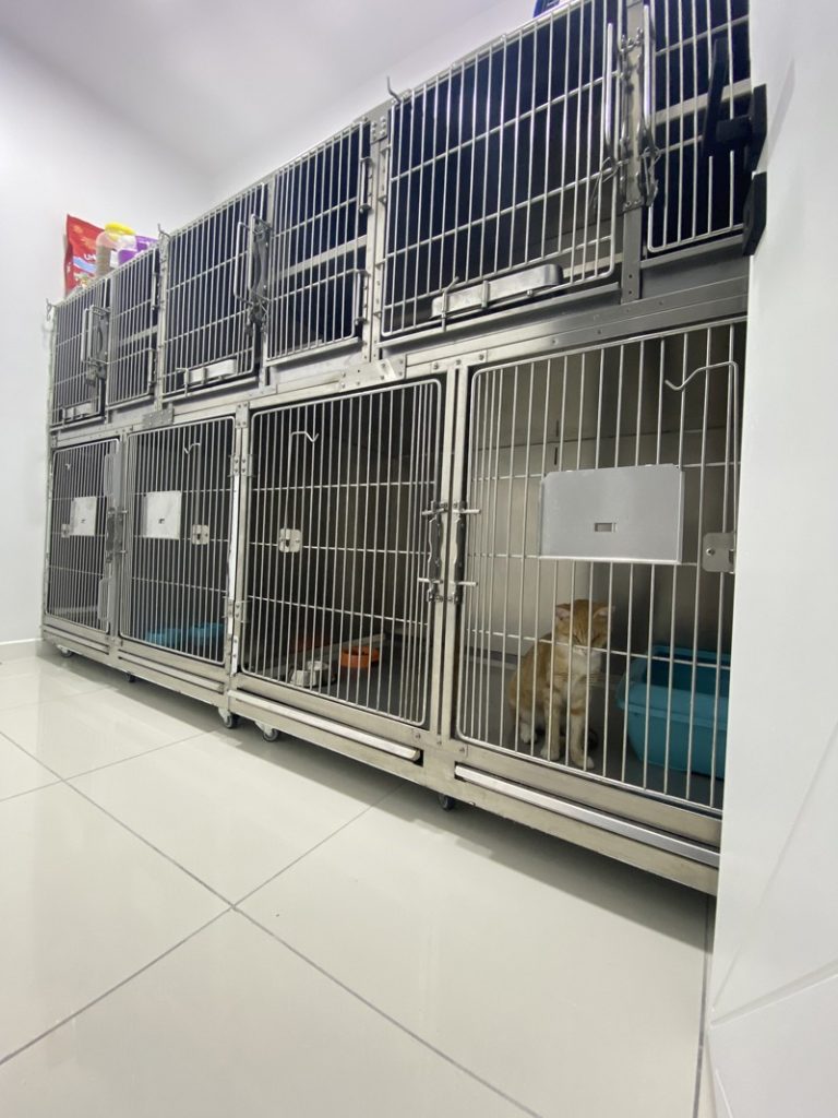PatiKule Veteriner Kliniği