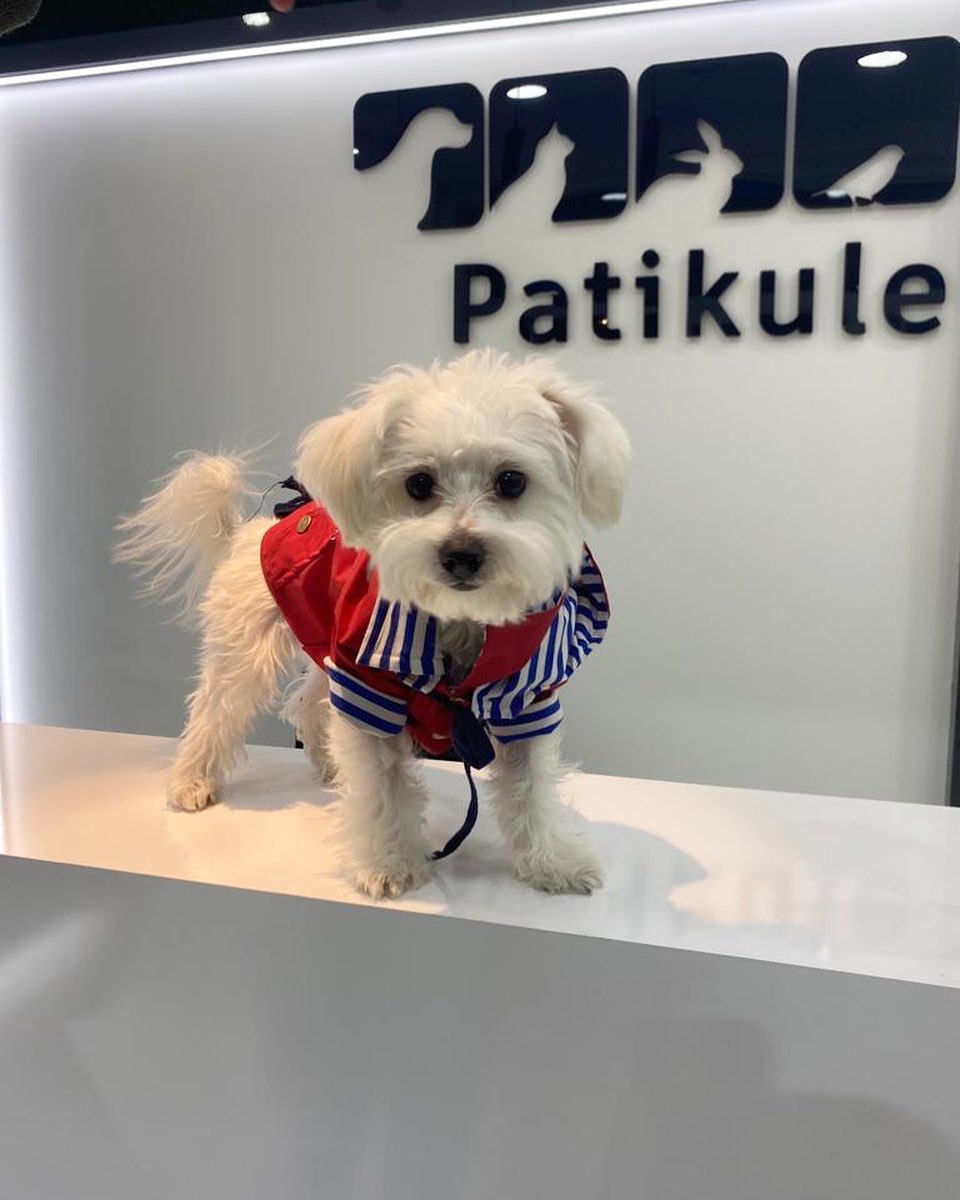 PatiKule Veteriner Kliniği