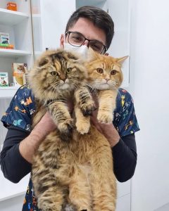 PatiKule Veteriner Kliniği Galeri