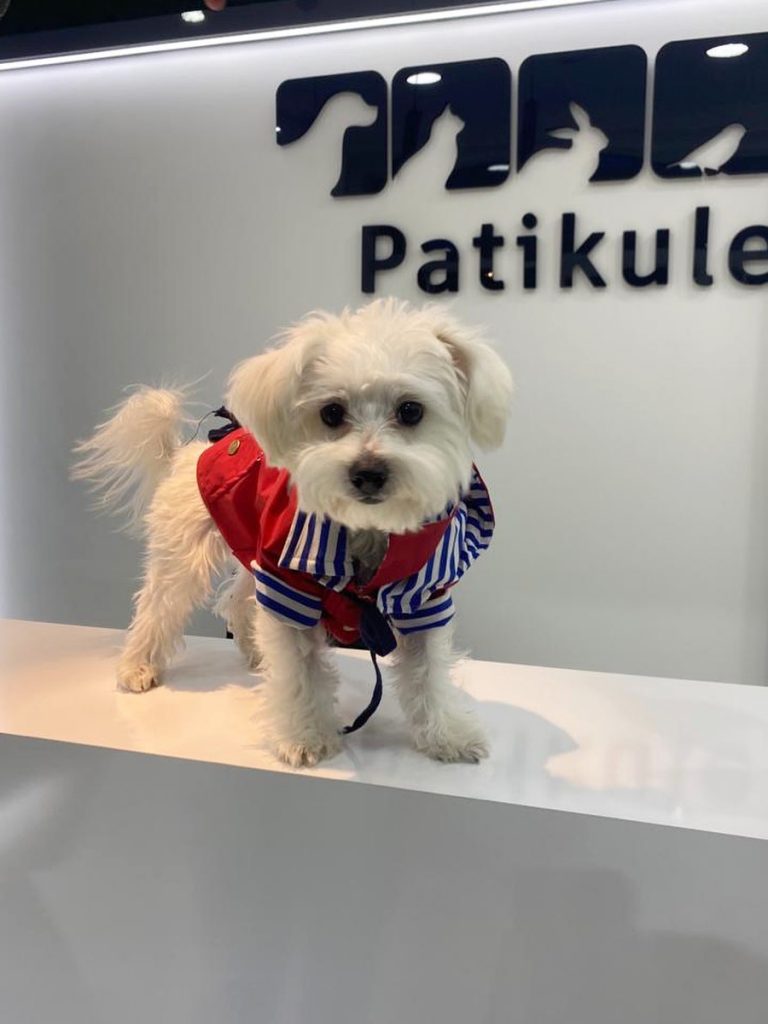 PatiKule Veteriner Kliniği Galeri
