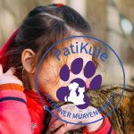 Evcil Hayvan Sahiplenmek İçin Dikkat Edilecekler