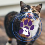 Kedi maltı kedinizin yuttuğu tüylerin bağırsaklarından atılmasına yardımcıdır.