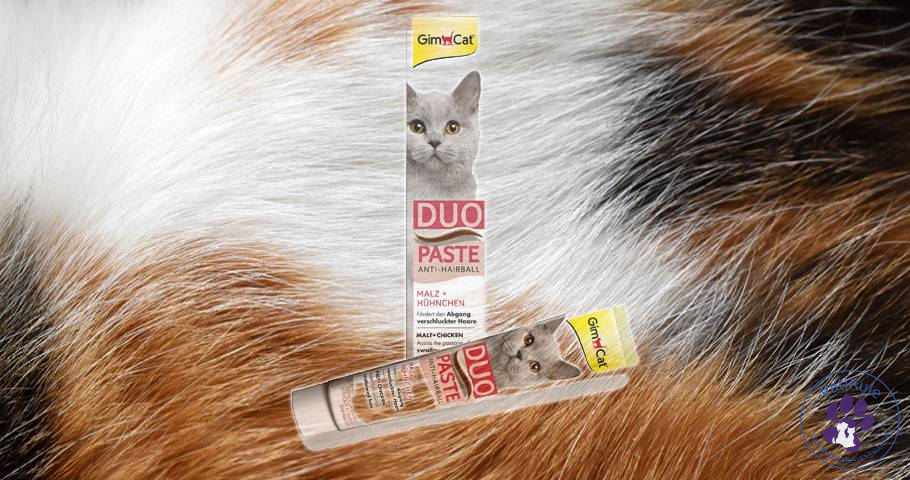 Kedi Maltı Nedir? Ne İşe Yarar? Kedi maltı kedinizin yuttuğu tüylerin bağırsaklarından atılmasına yardımcıdır.