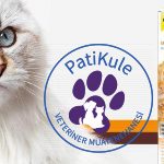Kedi Maltı Nedir? Ne İşe Yarar?