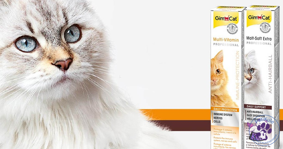 Kedi Maltı Nedir? Ne İşe Yarar?