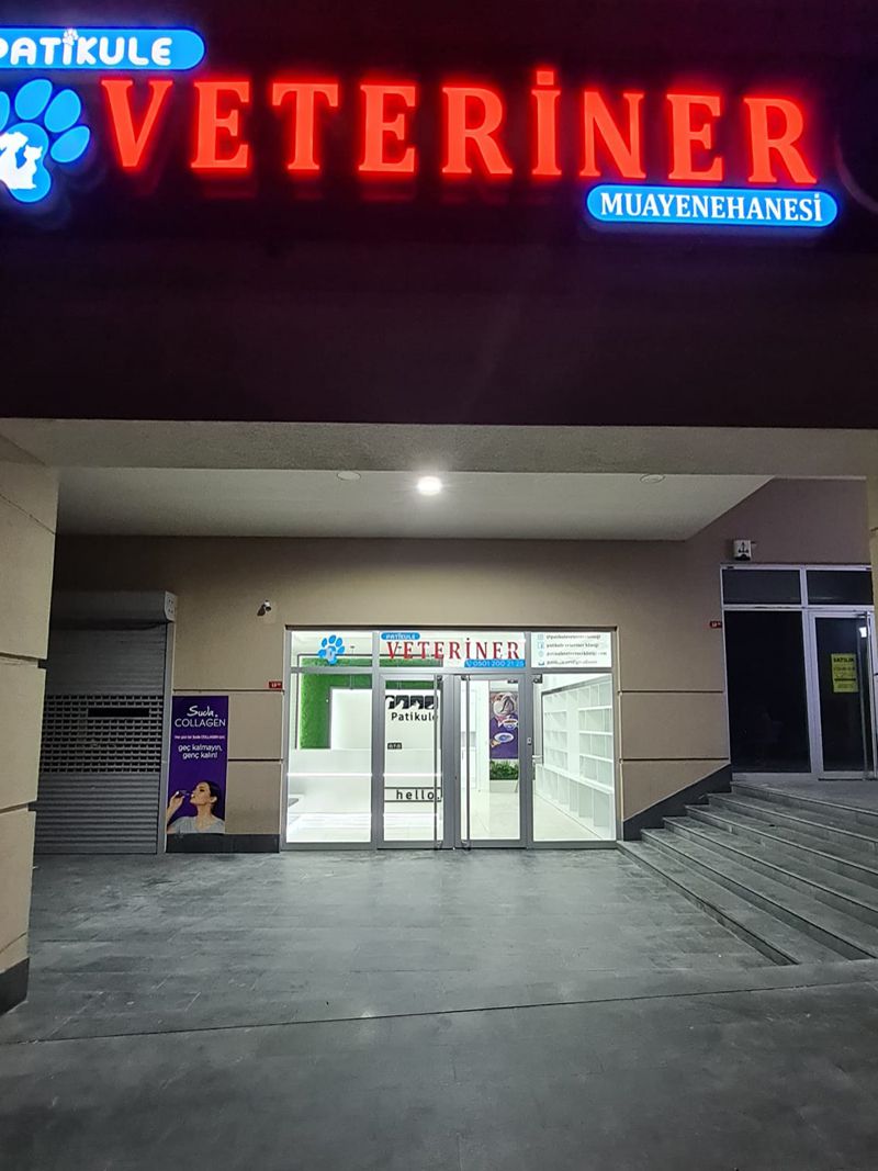 7/24 Avcılar Veteriner PatiKule