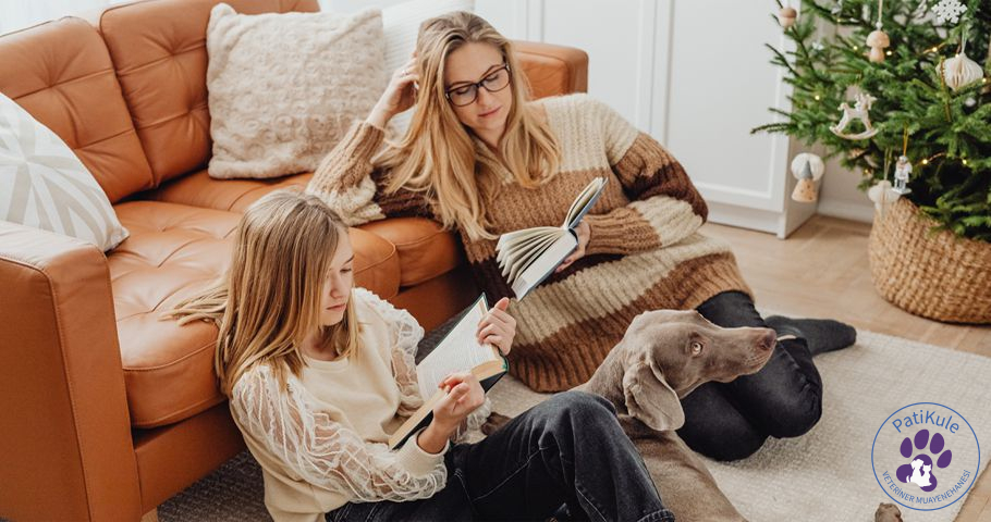 Köpek Sahiplenmek Neden Önemli? Aile Dostunuz Köpekler