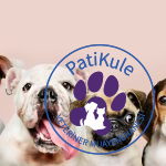 Büyümeyen Köpek Cinsleri Nelerdir?