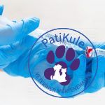 Kedi İç Parazit Hapı