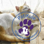 Kedi Pire İlacı