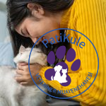 Kedi Sahiplenme