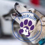 Köpek Uluması