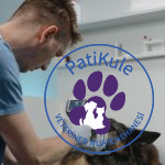 Köpeklerde Ateş Nasıl Anlaşılır?