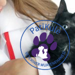 Nörolojik FIP