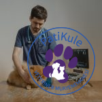 Veteriner Hekim