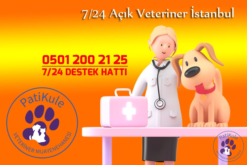 7/24 Açık Veteriner İstanbul