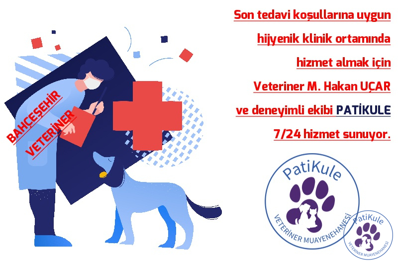 Bahçeşehir En İyi Veteriner Bahçeşehir En İyi Veteriner PatiKule