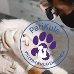 Bahçeşehir Veteriner Kliniği PatiKule