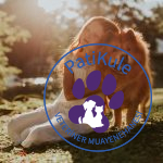 Çocuk Dostu Köpekler