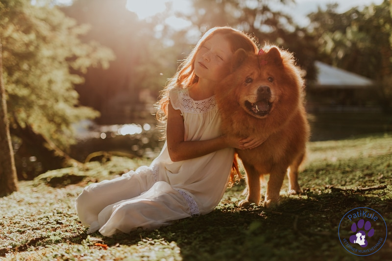Çocuk Dostu Köpekler