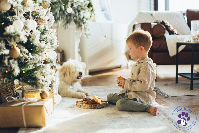 Çocuklarla İyi Olan Köpekler