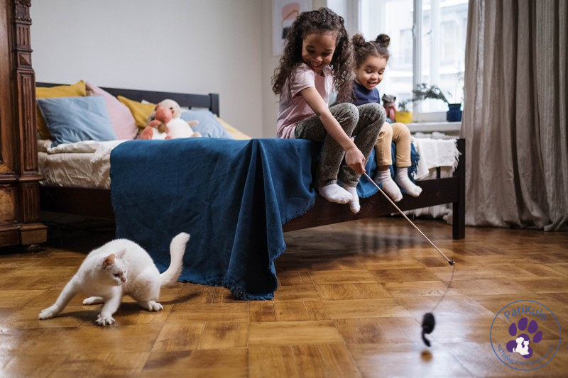 Evcil Hayvanlar ve Çocuklar Çocuklarınız Evcil Hayvanlarla Oyun Oynasın