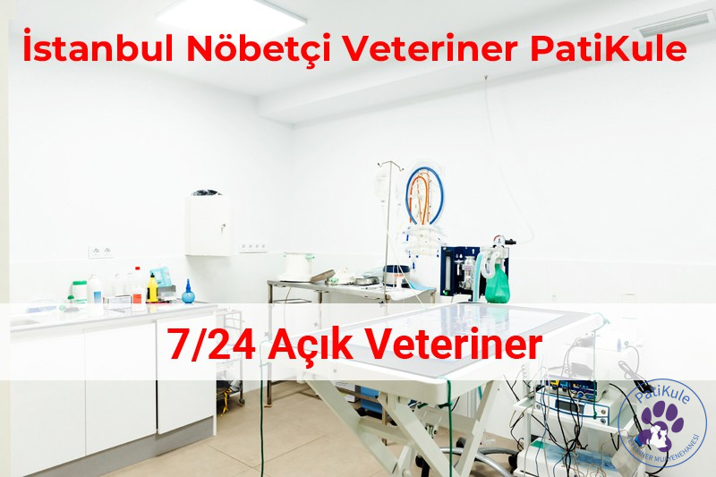 Bahçeşehir Veteriner İstanbul Nöbetçi Veteriner PatiKule
