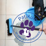 Kedi Kumu Temizliği