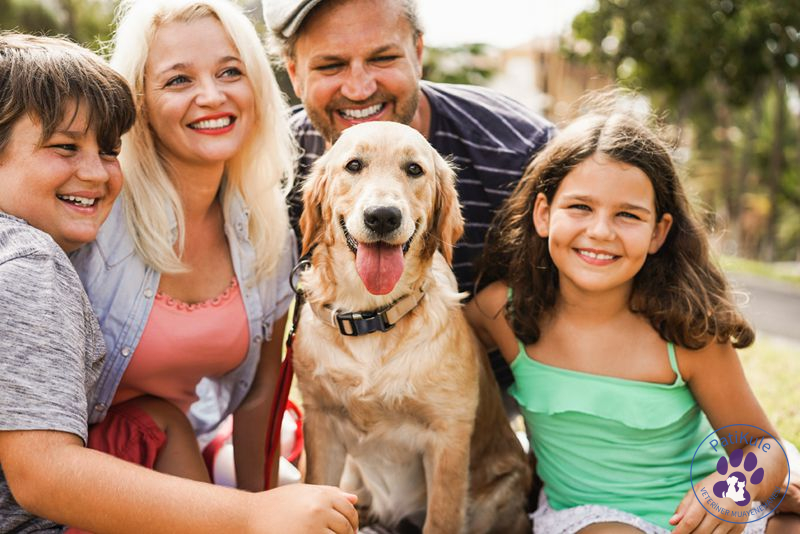 Köpek Sahiplenmeden Önce Bilinmesi Gerekenler Köpek Sahiplenme