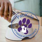 Köpeklerde Mama Değişimi Nasıl Olmalı?