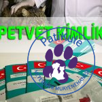 PETVET Kimlik Sistemi