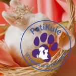 Aile Dostu Tavşanlar