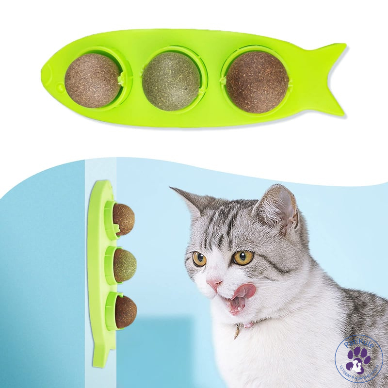 Kedilerde Diş Temizliği Kedi Ağız Sağlığı Ürünleri