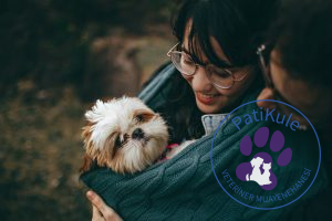 Köpeğinizin Sizi Sevdiğini Anlamak