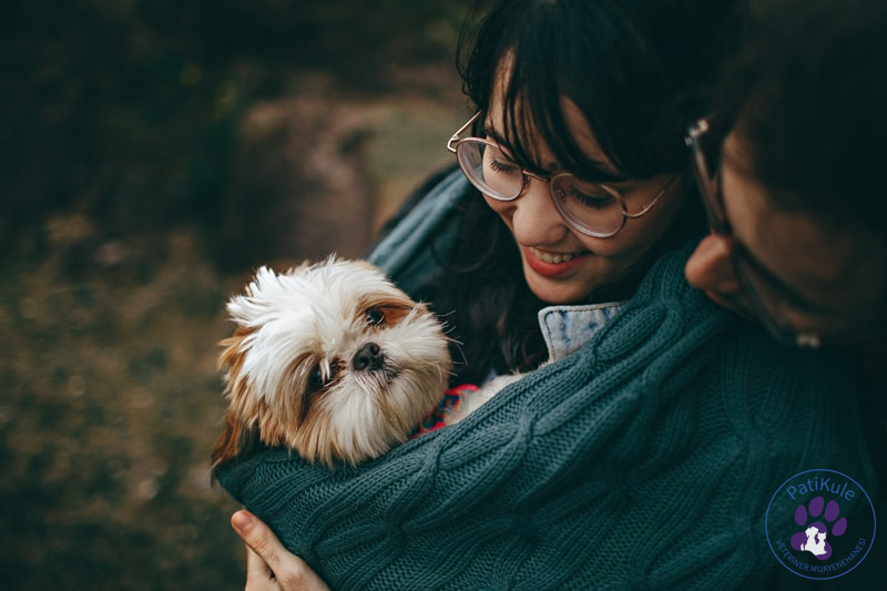 Köpeğinizin Sizi Sevdiğini Anlamak