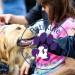 Köpeklerde Oksitokin Hormonu