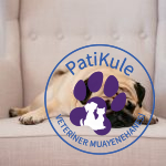 Ortalama olarak köpeklerin 12-14 saat arası uykuya ihtiyacı vardır.