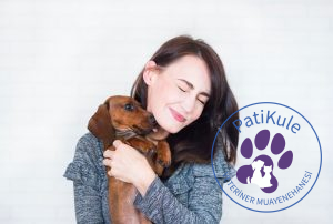 Köpek Sahiplenmeden Önce Onu Tanıyın