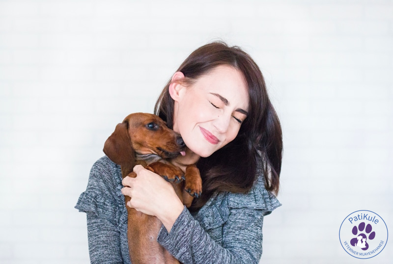 Köpek Sahiplenmeden Önce Onu Tanıyın