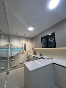a2